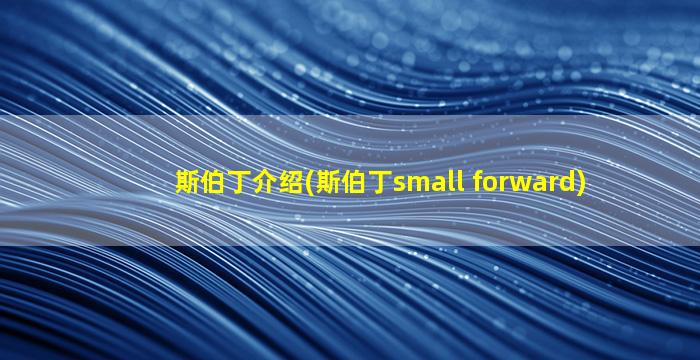 斯伯丁介绍(斯伯丁small forward)